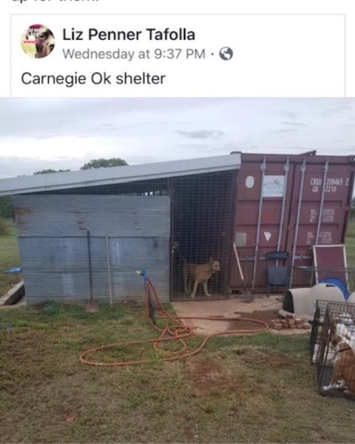 viprsq-bolt-carnegie-oklahoma-shelter