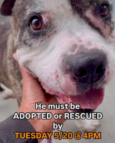 Closeup of Kenny’s face while a hand gently holds his chin