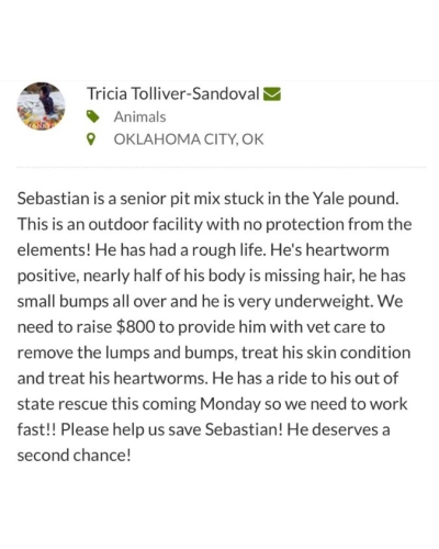 viprsq-sebastian-plea-for-help-post